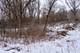 Lot A Ridge, Crystal Lake, IL 60014