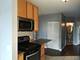 125 S Jefferson Unit 1309, Chicago, IL 60661