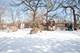 2496 Bridle, Round Lake Beach, IL 60073