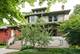 708 S East, Oak Park, IL 60304