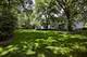 181 Apple Tree, Winnetka, IL 60093