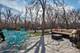 1706 Happ, Northbrook, IL 60062