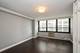 33 E Cedar Unit 11A, Chicago, IL 60611