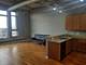 1550 S Blue Island Unit 1124, Chicago, IL 60608