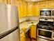 519 W Deming Unit GARDEN, Chicago, IL 60657