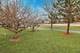 516 Shakespeare, Grayslake, IL 60030