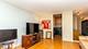 21 W Goethe Unit 16B, Chicago, IL 60610