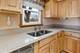 850 E 169th, South Holland, IL 60473