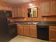 2220 Abbeywood Unit D, Lisle, IL 60532