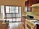 2248 W Iowa Unit 1, Chicago, IL 60622