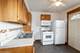 10536 S Avenue O, Chicago, IL 60617