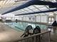 229 Willow, Bloomingdale, IL 60108