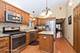 5427 S Nordica, Chicago, IL 60638