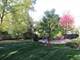 615 Ames, Libertyville, IL 60048