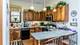 919 W Carmen Unit F, Chicago, IL 60640