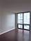 2 E Erie Unit 3601, Chicago, IL 60611