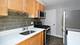 1011 S Oak Park Unit C, Oak Park, IL 60304