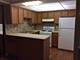 5S100 Pebblewood Unit C9, Naperville, IL 60540