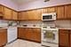 1675 Mill Unit 201, Des Plaines, IL 60016