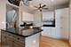 1125 W Newport Unit D, Chicago, IL 60657