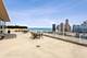 250 E Pearson Unit 3002, Chicago, IL 60601