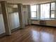 4250 N Marine Unit 1110, Chicago, IL 60613