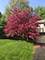 6S240 Cornwall, Naperville, IL 60540