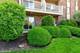 2423 N Kennicott Unit 1F, Arlington Heights, IL 60004