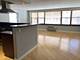 850 N Dewitt Unit 13GI, Chicago, IL 60611