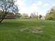 1509 Arthur, Joliet, IL 60432