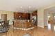 3654 Thornhill, Elgin, IL 60124