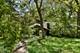 221 W Lake Shore, Oakwood Hills, IL 60013