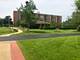 1717 W Crystal Unit 402, Mount Prospect, IL 60056