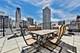 40 E Cedar Unit 15B, Chicago, IL 60611