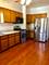 5038 W Hutchinson Unit 1, Chicago, IL 60641