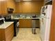 850 N Dewitt Unit 12G, Chicago, IL 60611