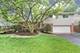 804 S Main, Mount Prospect, IL 60056