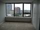 3930 N Pine Grove Unit 1110, Chicago, IL 60613