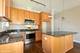 3938 S Wells Unit 2, Chicago, IL 60609