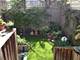 1955 W Cornelia, Chicago, IL 60657