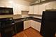 3230 N Clark Unit 2F, Chicago, IL 60657