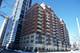 1250 S Indiana Unit 209, Chicago, IL 60605