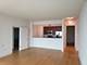 1201 S Prairie Unit 5004, Chicago, IL 60605