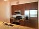 1201 S Prairie Unit 5004, Chicago, IL 60605