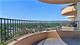 4 Wheaton Center Unit 316, Wheaton, IL 60187