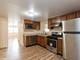 3240 S Carpenter Unit 1, Chicago, IL 60608