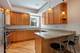 923 W Gordon Unit 2W, Chicago, IL 60613