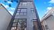 1631 S Carpenter Unit 2, Chicago, IL 60608