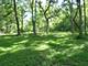 Lot #2 Cape, West Chicago, IL 60185