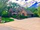 20678 Abbey, Frankfort, IL 60423